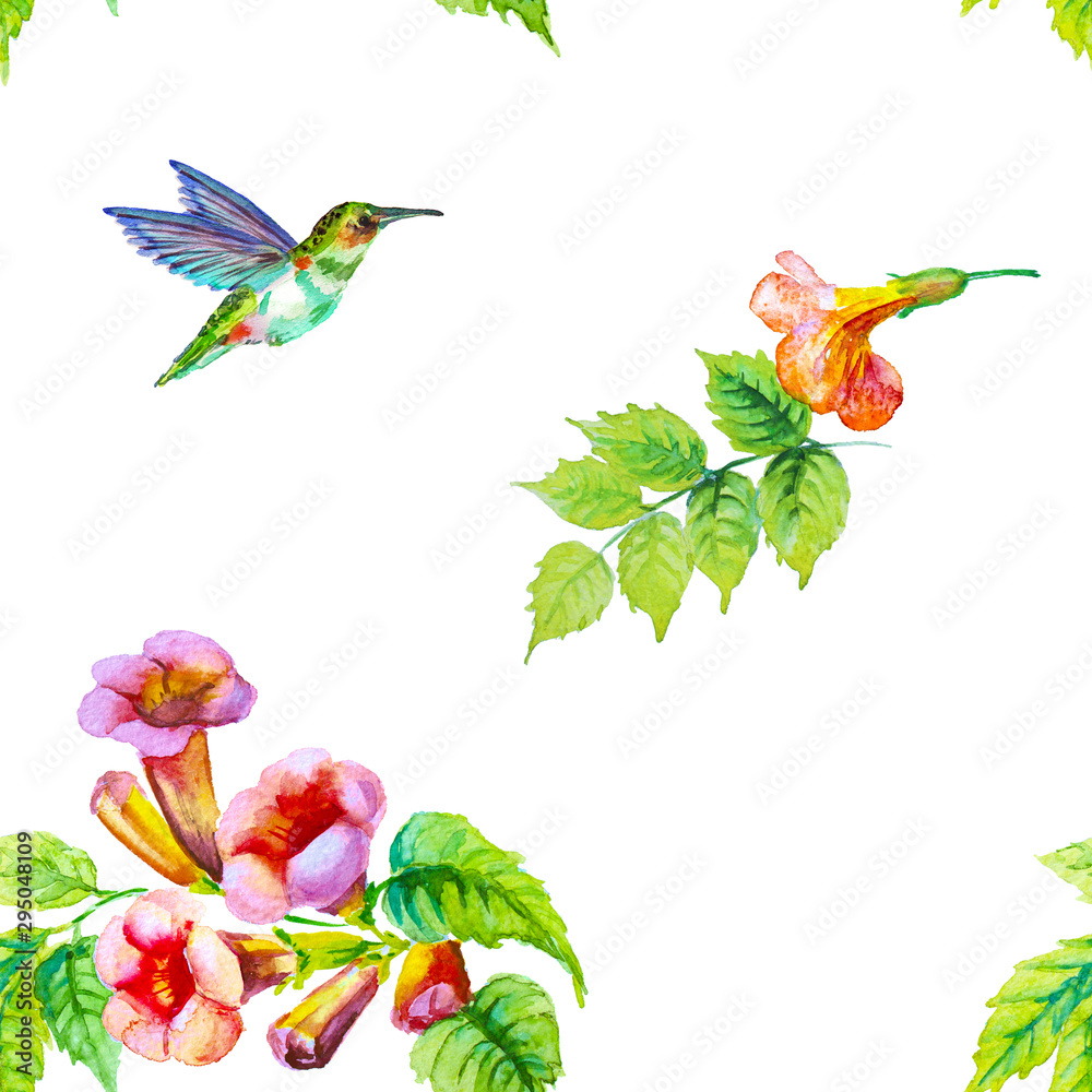 Campsis flower with hummingbird isolated on white.Seamless pattern