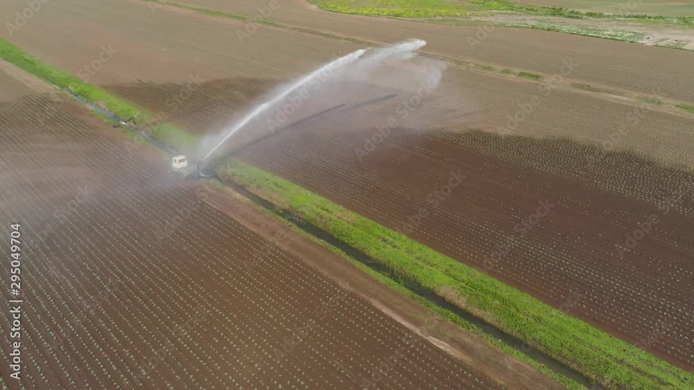 Irrigation system on agricultural land. A large stream of water to