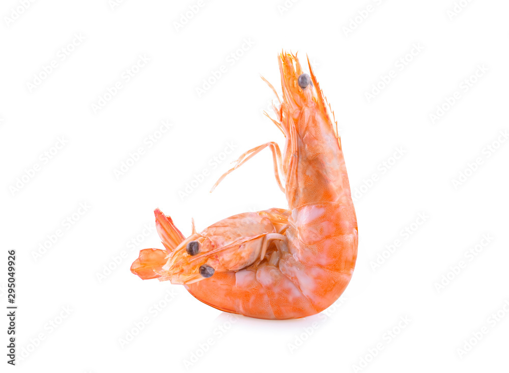 Two prawns isolated on a white background Two prawns isolated on a white background