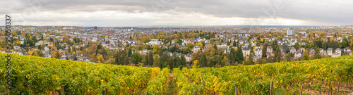 Wiesbaden von oben Panorama 1