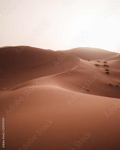 sand dunes in the Sahara desert  Morocco