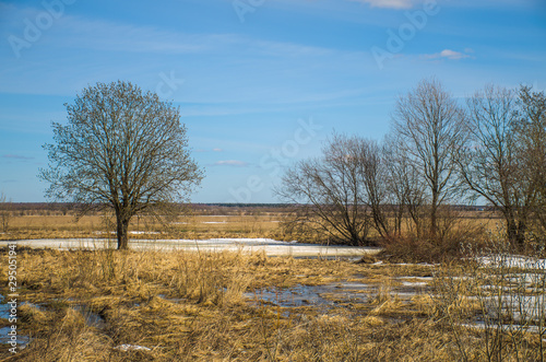 Wallpaper Mural Bush on the field with snow Torontodigital.ca