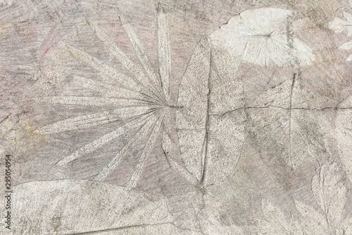 Obraz duże liście z drzew na szarym betonie