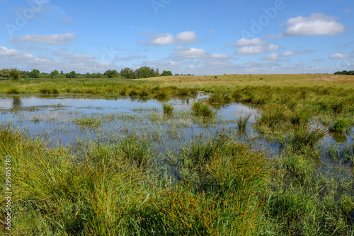 Landscape with a pond on the countryside in Denmark © fotoember