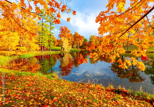 Alexander park in fall, Pushkin (Tsarskoe Selo), St. Petersburg, Russia