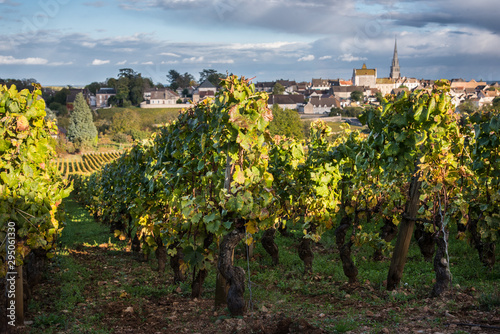 village de Meursault et vignoble bourgogne automnal