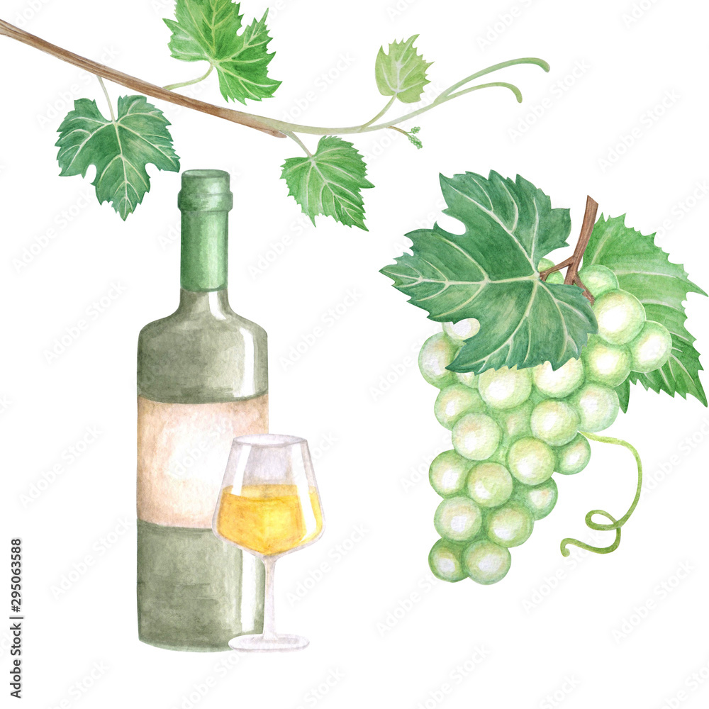 Watercolor poster of bottle of wine grapes, glass of wine and bunch of green grapes.