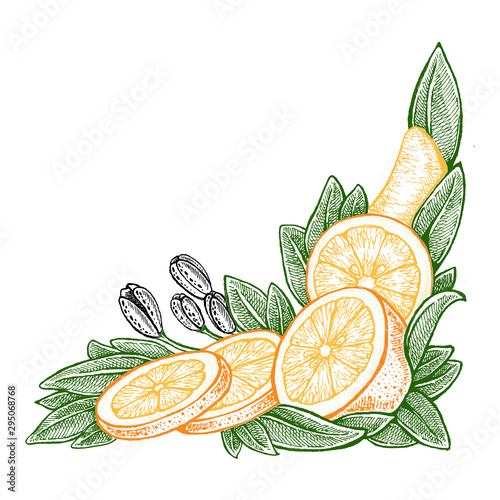 Flowers and oranges. Vector picture. Wedding invitation template, harvest festival, egology concept, vegan food, cafe, restaurant, illustration for orange juice package photo