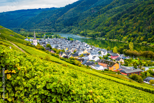 Bild auf Leinwand Mosel-Land: Wasser, Wald, Wein, Kirche, Dorf (Ortsteil Ediger)