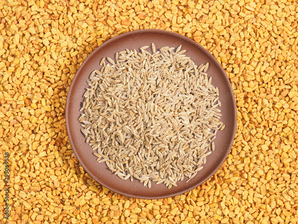 Cumin in clay plate. Background from Fenugreek. Indian cuisine ingredients Cumin in clay plate. Background from Fenugreek. Indian cuisine ingredients