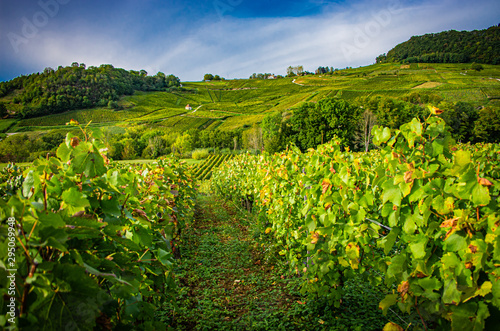 chateau Chalon 