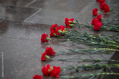 Red roses and carnation symbol of mourning - laying flowers to the monument, telephoto photo