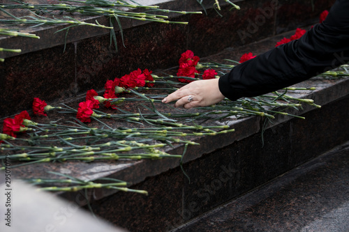 Slika na platnu Red roses and carnation symbol of mourning - laying flowers to the monument, tel
