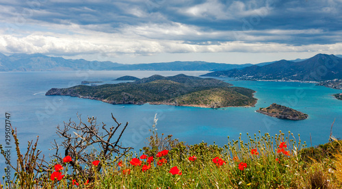 Red poppies on the background of the fortress of Spinalonga and Calydon.