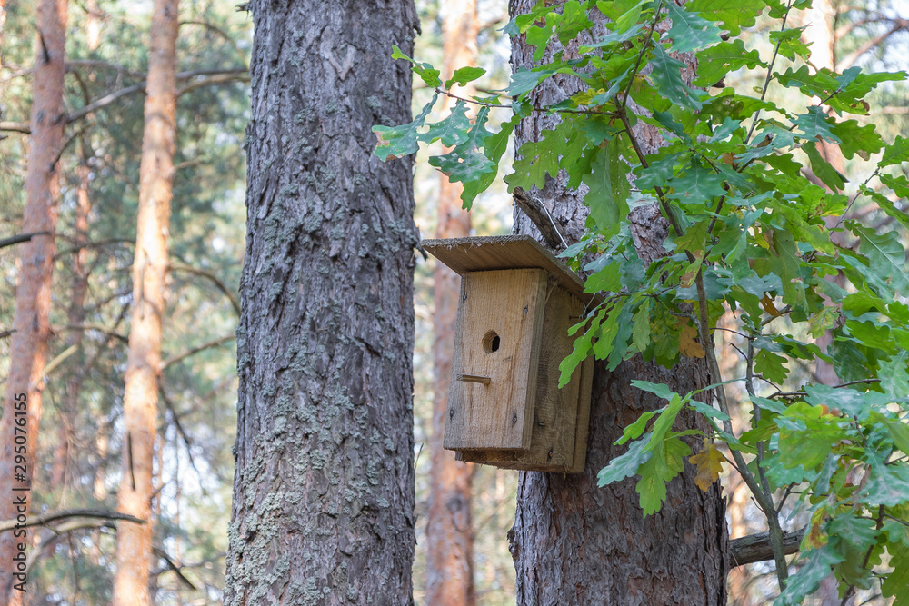 New wooden birdhouse on a tree for forest birds in the forest