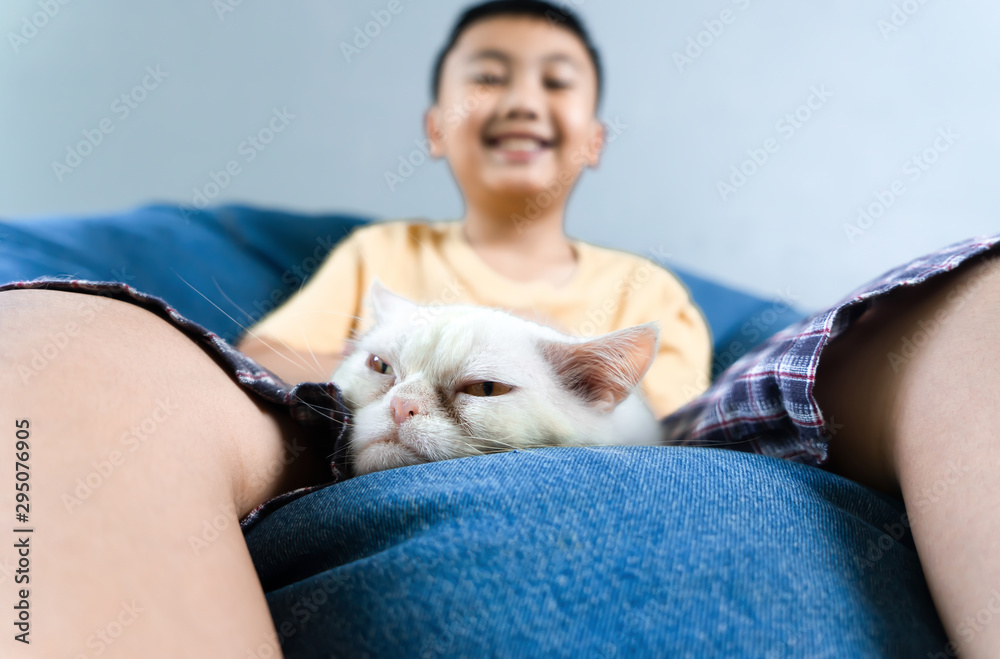 White cat lying with little kid. Pet at home concept White cat lying with little kid. Pet at home concept