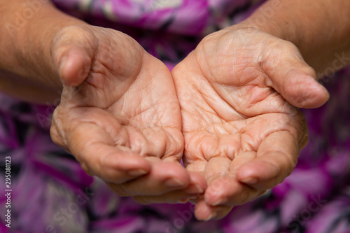 Senior woman's hands cupped hands showing something, Close up & Macro shot, Selective focus, Asian body skin part, Symbol, Gesturing, Body Language concept