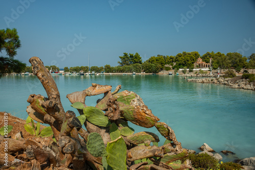 View of the 