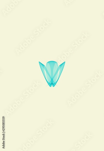 butterfly isolated on white background