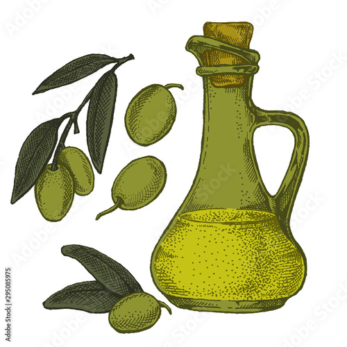 Bottle with olives and olive oil. Vintage retro style illustration for package. Cosmetic with olive oil and organic farm healthy food