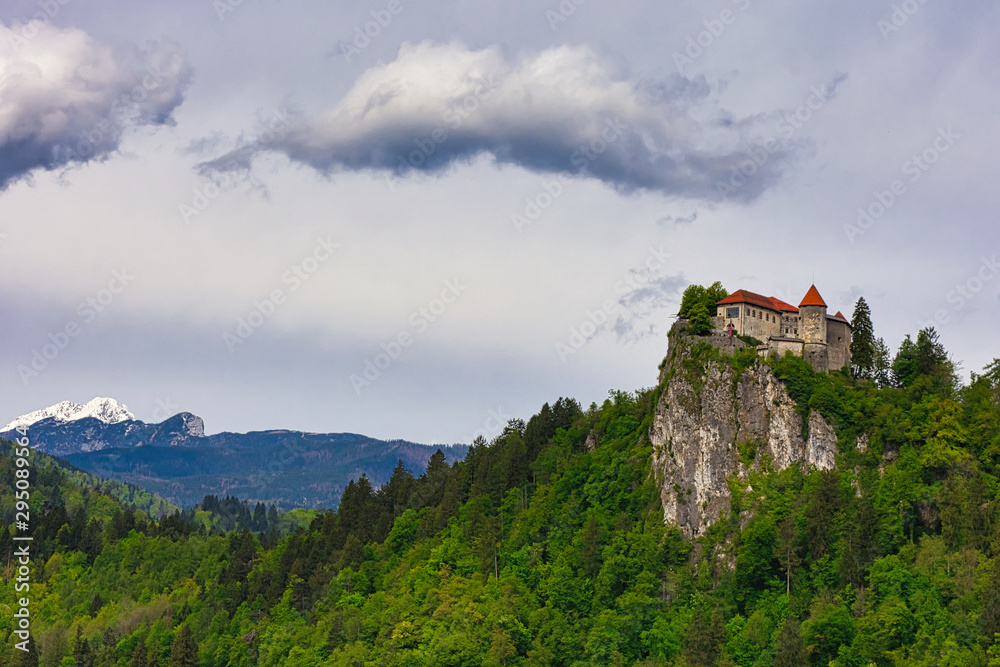 View of Bled Castle, Slovenia surrounded by spring forest and the Alps on background