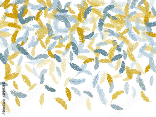 Detailed majestic feather on white design.