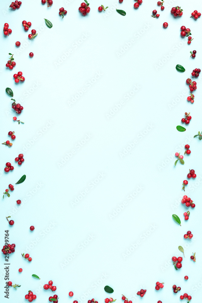 Wild lingonberry pattern on blue background. Top view. Summer berries texture.