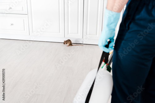 cropped view of man in blue latex glove holding toxic equipment near rat on floor