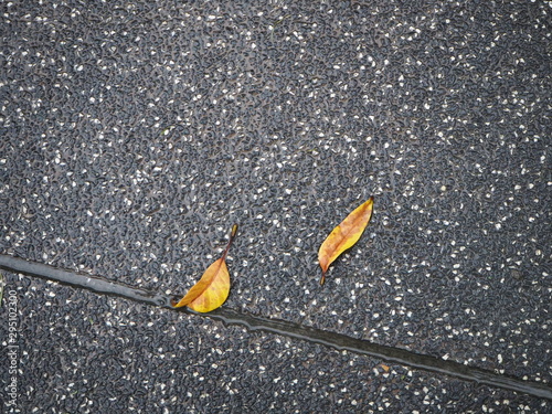  2 dry leaves fell on the rocky ground