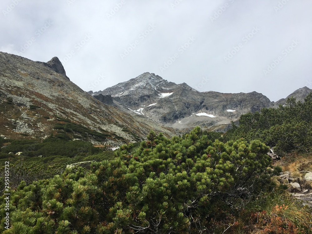 Fototapeta premium view of mountains