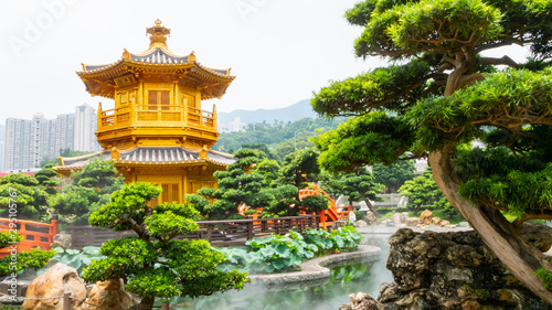 Fotografi Architecture China, Classical Garden, Nan Lian Gold Chinese pavilion at the park