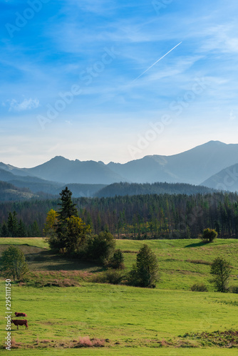 Rural landscape near Tatra Mountains in Poland © lukasz_kochanek