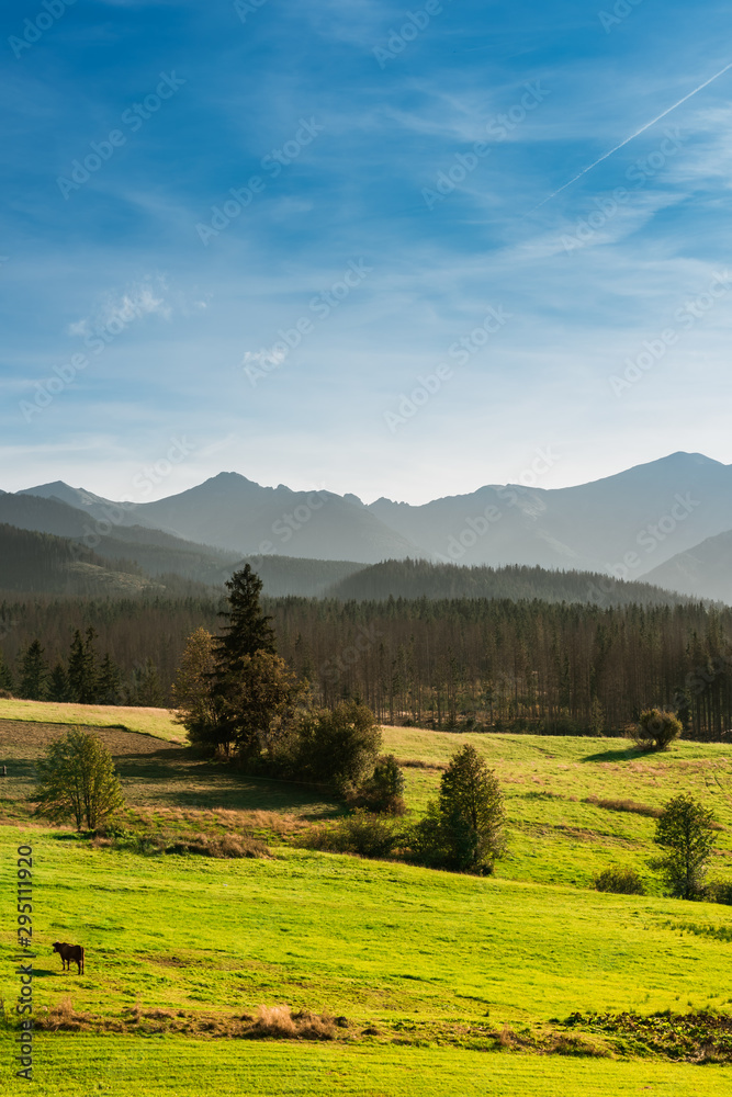 Obraz premium Tatra Mountain Range in Poland