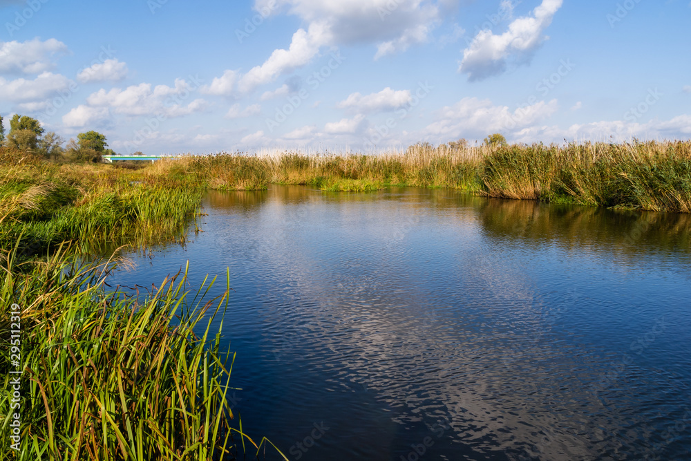 Narwiański Park Narodowy, Bokiny, Podlasie, Polska Narwiański Park Narodowy, Bokiny, Podlasie, Polska