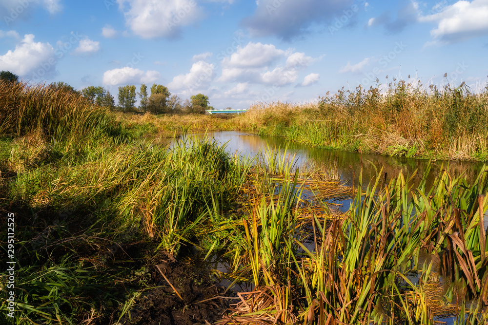 Fototapeta premium Narwiański Park Narodowy, Bokiny, Podlasie, Polska