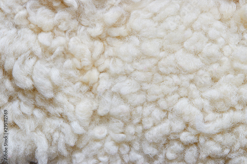 White soft wool background, natural sheepskin rug. photo