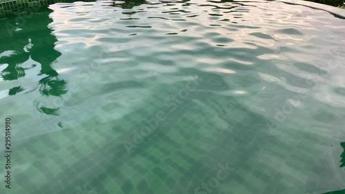 clean water in the swimming pool
