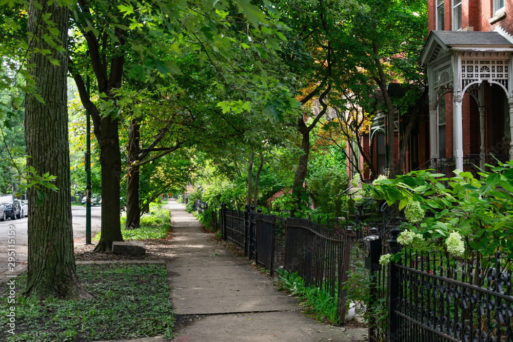 Sidewalk next to Old Homes with Green Plants and Trees in Wicker Park Chicago