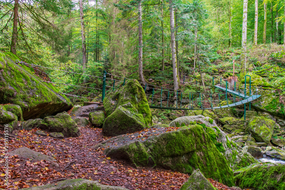 Wildbachklamm Buchberger Leite | Bayerischer Wald Wildbachklamm Buchberger Leite | Bayerischer Wald