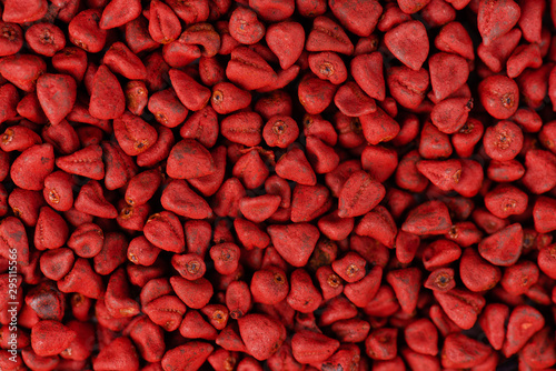 Annatto seeds, achiote seeds, bixa orellana background. Natural dye for cooking and food. Close-up. photo