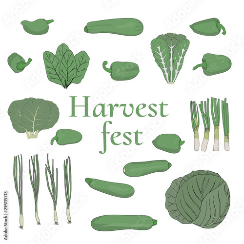 Harvest fest. Cormorant ofl type. Fresh green vegetables vector illustration.