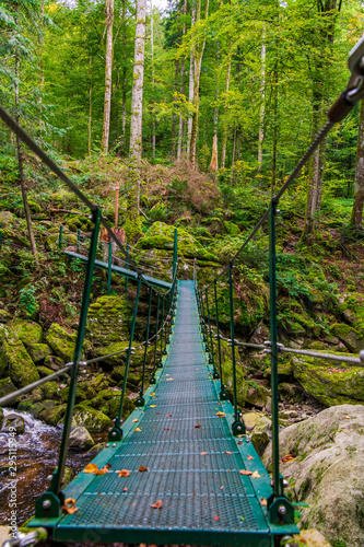 Brücke Wildbachklamm Buchberger Leite | Bayerischer Wald photo