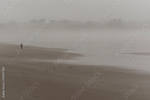 person walking on a foggy beach