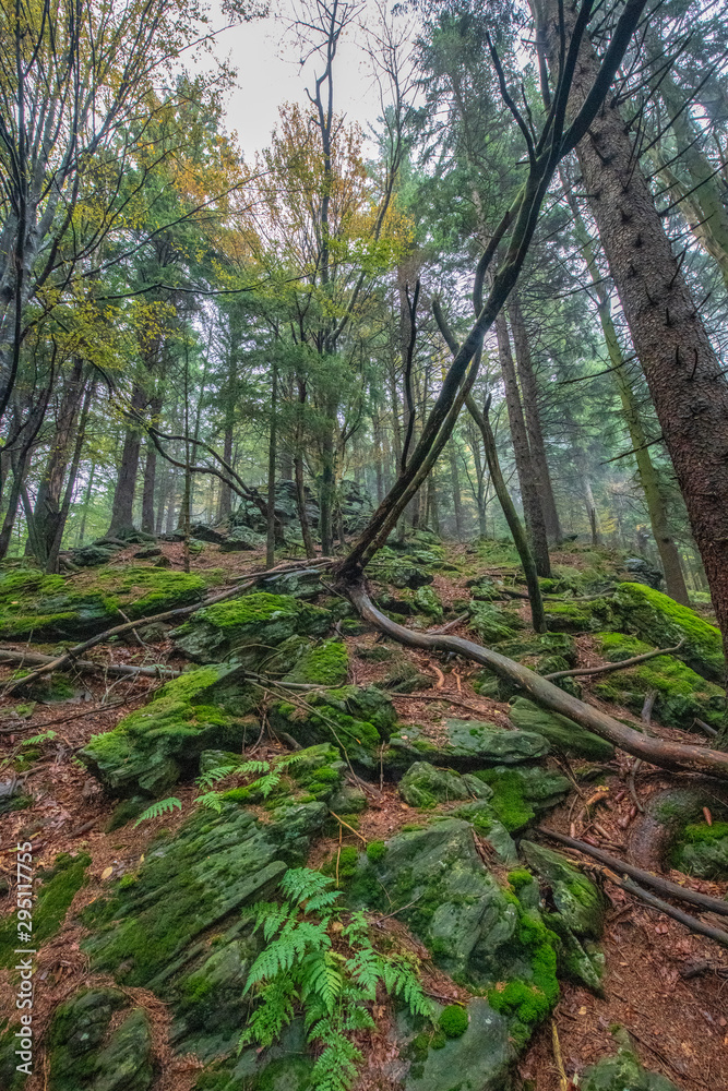 Tour im Bayerischen Wald zum Mühlriegel und Ödriegel