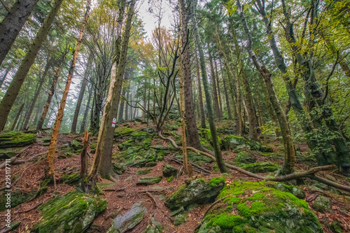 Tour im Bayerischen Wald zum M  hlriegel und   driegel