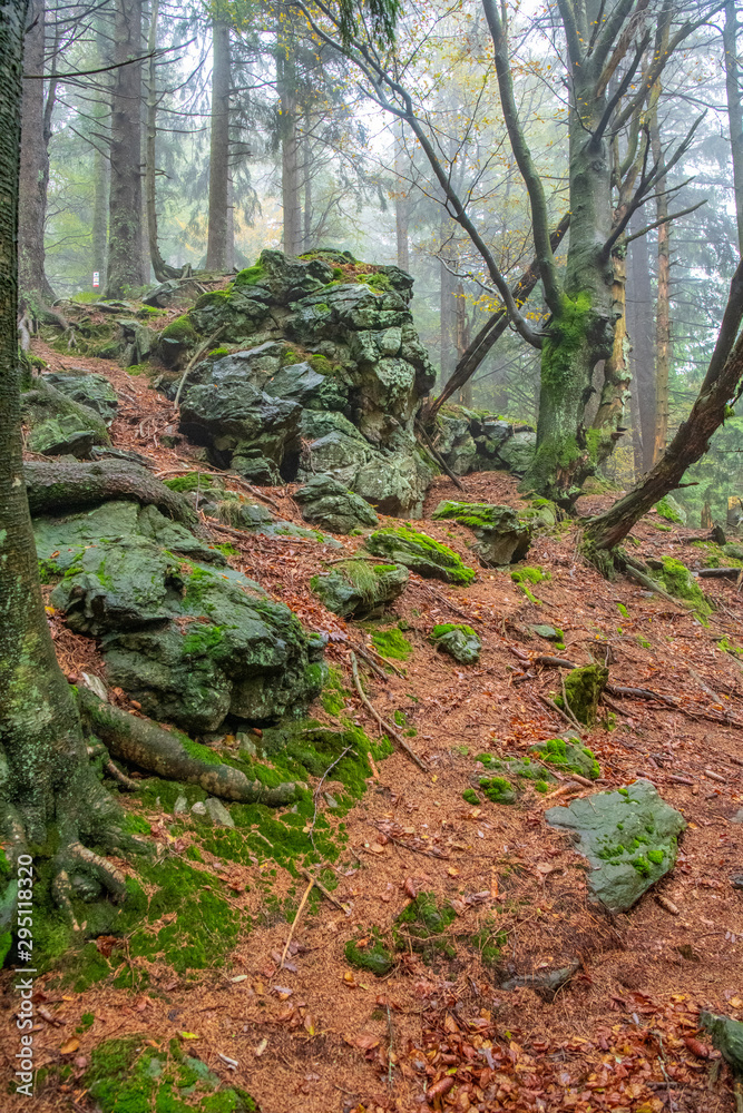 Tour im Bayerischen Wald zum Mühlriegel und Ödriegel Tour im Bayerischen Wald zum Mühlriegel und Ödriegel