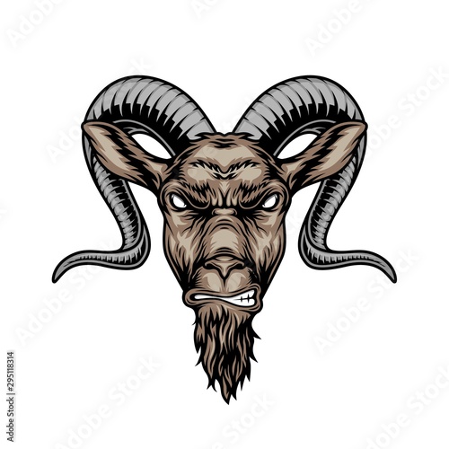Colorful angry horned goat head photo