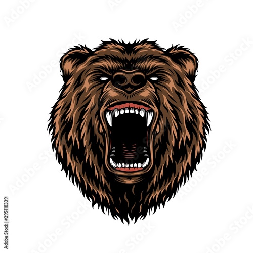 Ferocious aggressive bear head colorful concept