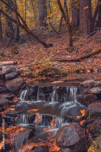 Autumn foliage and creek waterfall flowing in California forest