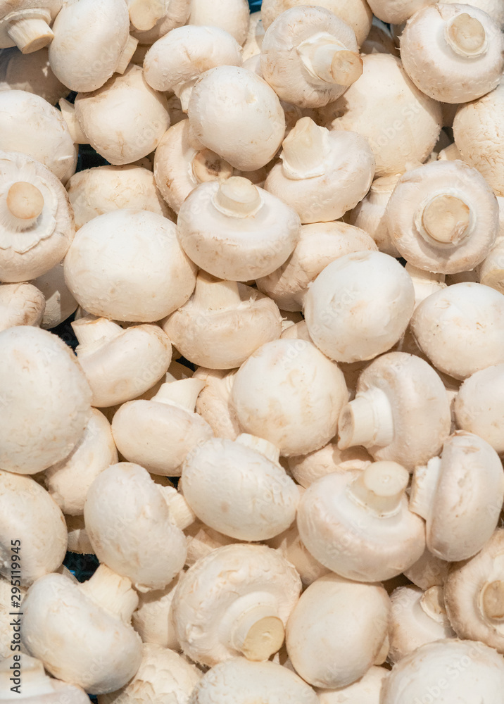 White fresh champignons close-up. Food, mushrooms